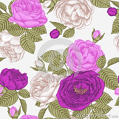 Vector floral seamless pattern with white, purple and violet roses Vector Illustration