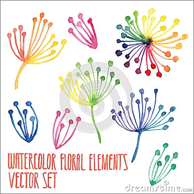 Vector floral set. Colorful floral collection, drawing watercolor. Spring or summer design for invitation, wedding or greeting car Vector Illustration