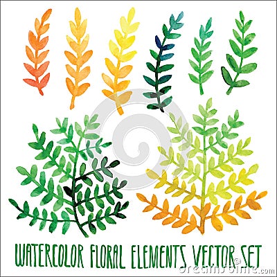 Vector floral set. Colorful floral collection with leaves, drawing watercolor. Spring or summer design for invitation, wedding or Vector Illustration