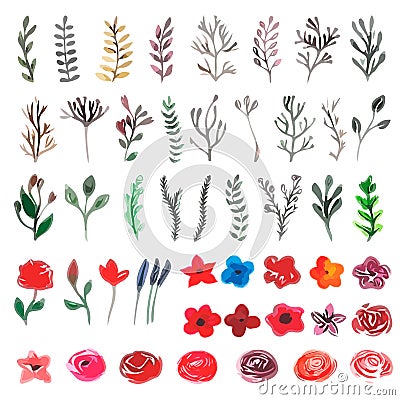 Vector floral set. Colorful floral collection with leaves and fl Vector Illustration