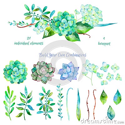 Vector floral set. Colorful floral collection with leaves and flowers Vector Illustration