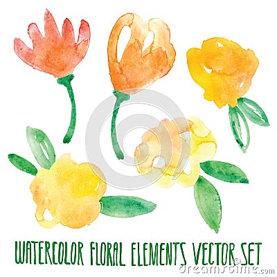 Vector floral set. Colorful floral collection with leaves and flowers, drawing watercolor. Spring or summer design for invitation, Stock Photo