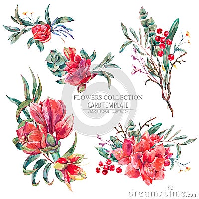 Vector floral set of red flowers, Amaryllis Vector Illustration