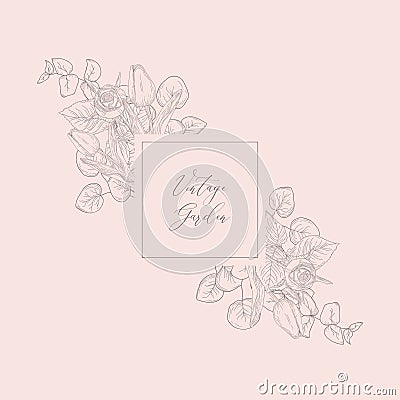 Vector Floristic Feminine Brand Logo Template Frame. Vector Illustration