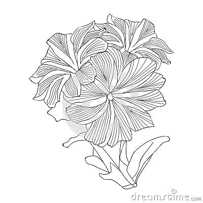 Blossom flwer, flower line art, Cute flower coloring pages, flower coloring page for adults, Vector Illustration