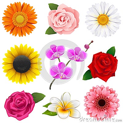 Vector Flower Icons Vector Illustration