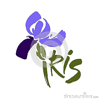 Vector flower logo. Floral background. Calligraphy ink. Stylized calligraphic ink iris. Vector Illustration