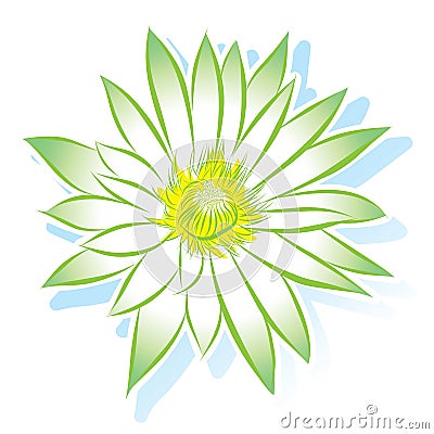 Vector flower lotus Vector Illustration