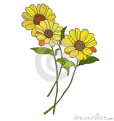 Vector flowers bouquet of yellow gerbera and greenery. Hand painted floral illustration isolated on white background Vector Illustration