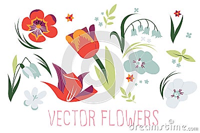 Vector flowers Vector Illustration