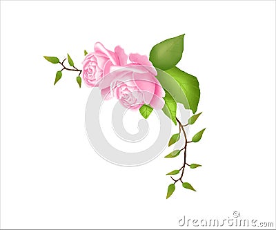 Vector flowers set. Beautiful wreath. Elegant floral collection with isolated blue,pink leaves and flowers, hand drawn watercolor. Vector Illustration