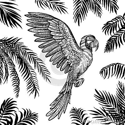 Vector flying parrot with palm leaves. Tropical summer design with black silhouette leaves and macaw. Vector Illustration