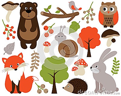 Vector Forest Animals Set. Vector Woodland Animals. Forest Animals Vector Illustration. Vector Illustration