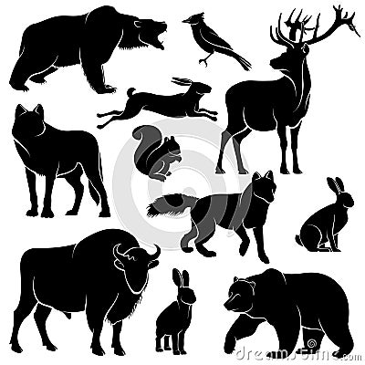 Vector forest animals for wood design. Zoology collection Vector Illustration