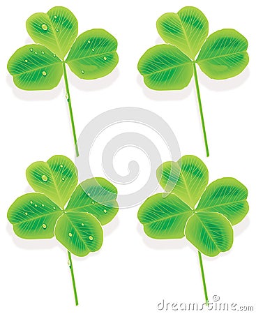 Vector four and three Leaf Clover Vector Illustration