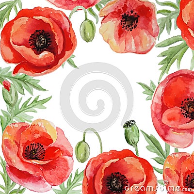 Vector frame with red watercolor poppy flowers. Stock Photo