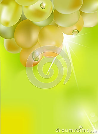 Vector fresh grapes with drops Vector Illustration
