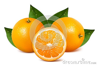 Vector fresh ripe oranges with leaves Vector Illustration