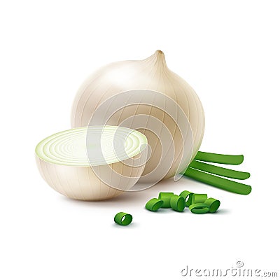 Vector Fresh Whole and Sliced White Onion Bulbs with Chopped Green Onions Isolated on White Background Vector Illustration