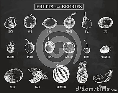 Vector fruits and berries illustrations set. Organic, eco, bio food. Hand drawn sketches on chalkboard Plum, Lemon etc. Vector Illustration