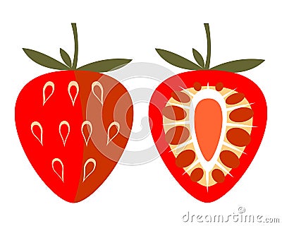 Vector fruits illustration. Detailed icon of strawberry, whole and half, isolated over white background. Vector Illustration