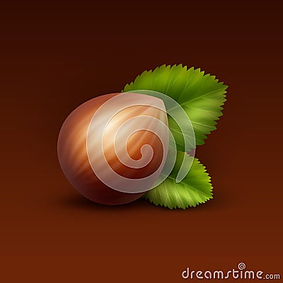 Vector Full Unpeeled Hazelnut with Leaves Vector Illustration