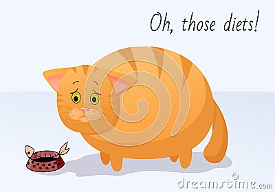 Vector funny animal. Fat cute cat on a diet. Postcard with a comic phrase. Sad cat with an empty plate of food. Isolated object on Vector Illustration