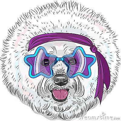 Vector funny cartoon hipster dog Bichon Star Disco Stock Photo