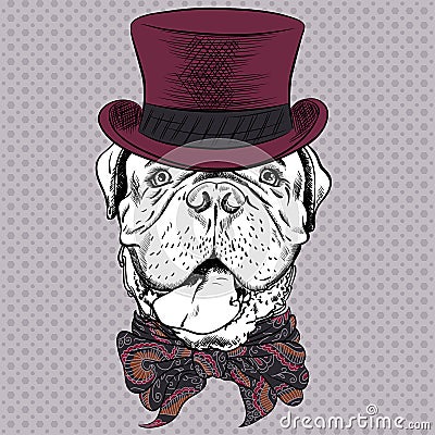 Vector funny cartoon hipster dog French Mastiff Vector Illustration