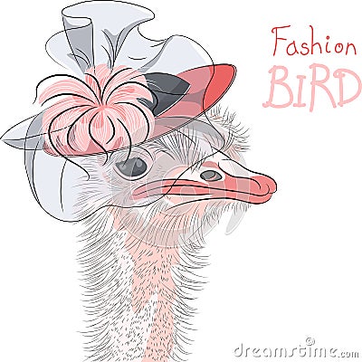 Vector funny fashion Ostrich Bird in a beautiful hat Vector Illustration