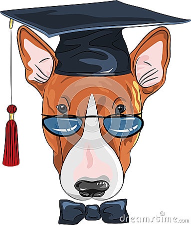 Vector funny graduated dog Bullterrier Vector Illustration