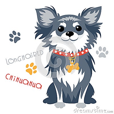Vector funny longhaired Chihuahua dog sitting Vector Illustration