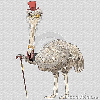 Vector funny Ostrich Bird hipster Vector Illustration