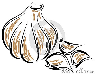 Vector garlic Vector Illustration