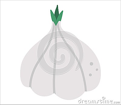 Vector garlic on white background. Healthy food icon. Vegetable illustration Vector Illustration