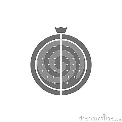 Vector garnet, pomegranate grey icon. Isolated on white background Vector Illustration
