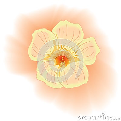 Vector gentle pink flower. Watercolour style Vector Illustration