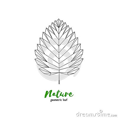 Vector geometrical birch leaf. Illustration for greeting cards, invitations, and other printing projects Vector Illustration