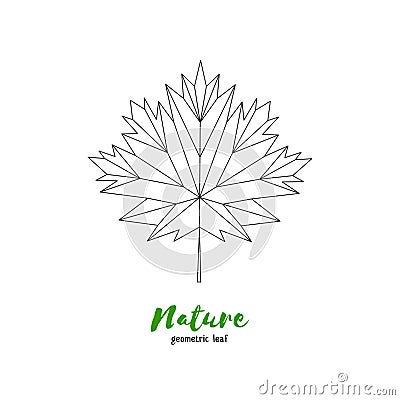 Vector geometrical maple leaf. Illustration for greeting cards, invitations, and other printing projects Vector Illustration