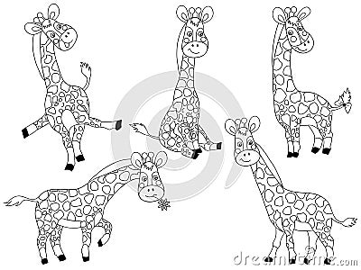 Vector Giraffes Set Vector Illustration