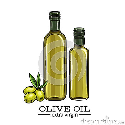 Glass bottle olive oil Vector Illustration