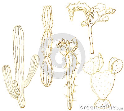 Vector golden sketch set with mexican cacti. Hand painted floral collection: desert cactus and tree. Botanical line art Vector Illustration