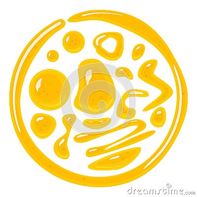 vector golden yellow realistic honey Vector Illustration