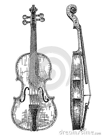 Vector illustration drawing of violin. Vector Illustration