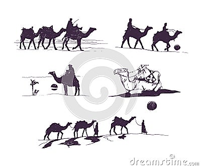 Vector graphic camels silhouettes set Vector Illustration