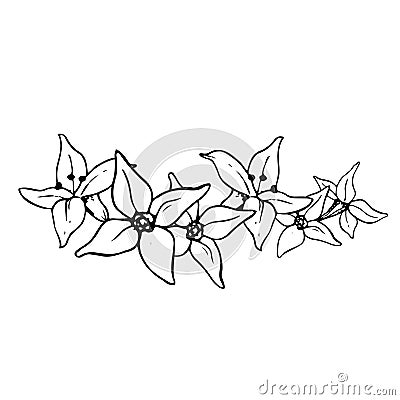 Vector graphic flower garland of sea buckthorn floral banner illustration. Black and white graphic plant drawing Vector Illustration