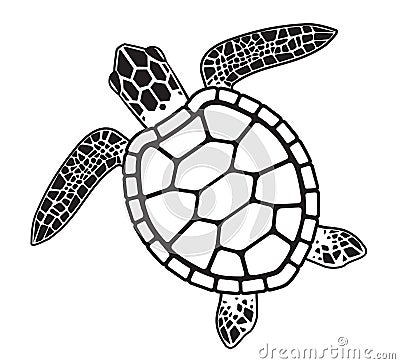 Vector graphic illustration of a Sea Turtle Vector Illustration