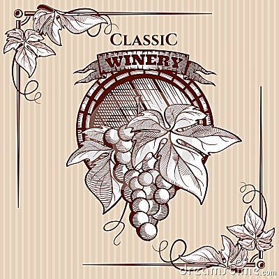 Vector graphic poster with picture of grapes bunch and vine elements Vector Illustration