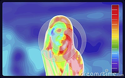 Vector graphic of Thermographic image of a woman face showing different temperatures in a range of colors from blue showing cold Vector Illustration