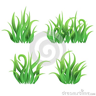 Vector grass butches on white background Vector Illustration